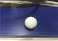 सफेद प्लास्टिक मोल्ड पार्ट्स टेफ्लॉन / पीटीएफ ठोस प्लास्टिक बॉल्स रंगीन अनुकूलित