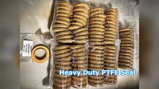 पीटीएफई तेल सील भारी मशीनरी हाइड्रोलिक सिलेंडर